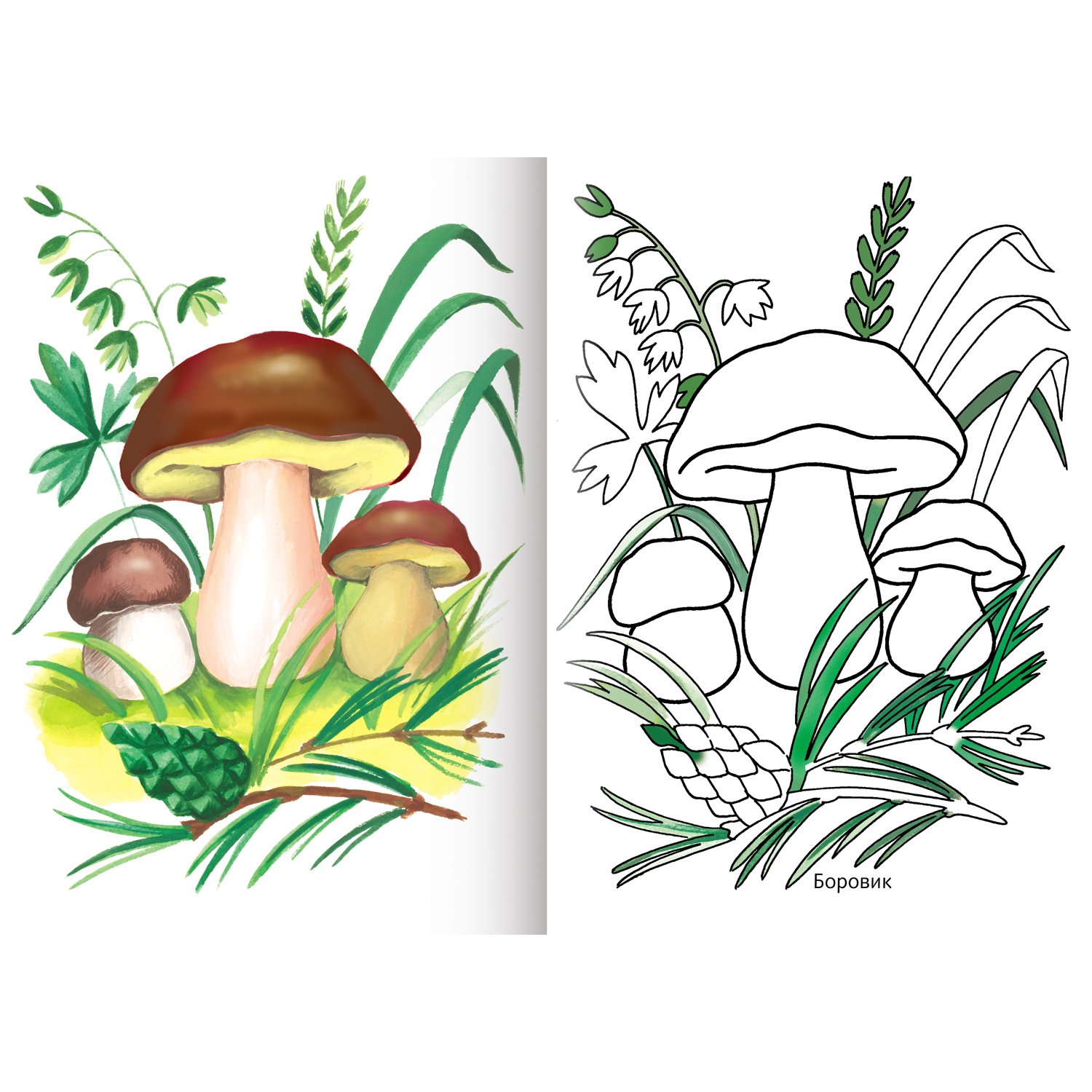 Рисунок на тему грибы