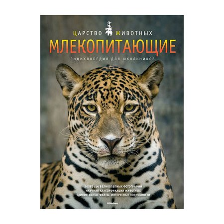 Энциклопедия для школьников Махаон Млекопитающие.