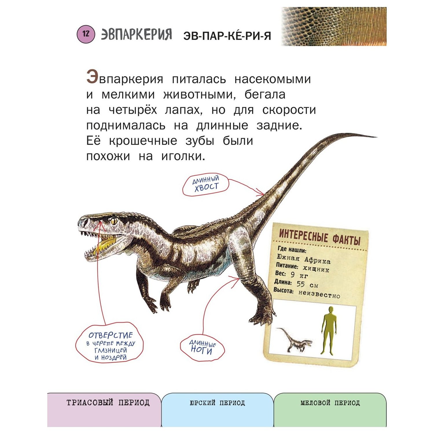 Книга Эксмо Все динозавры с крупными буквами - фото 11