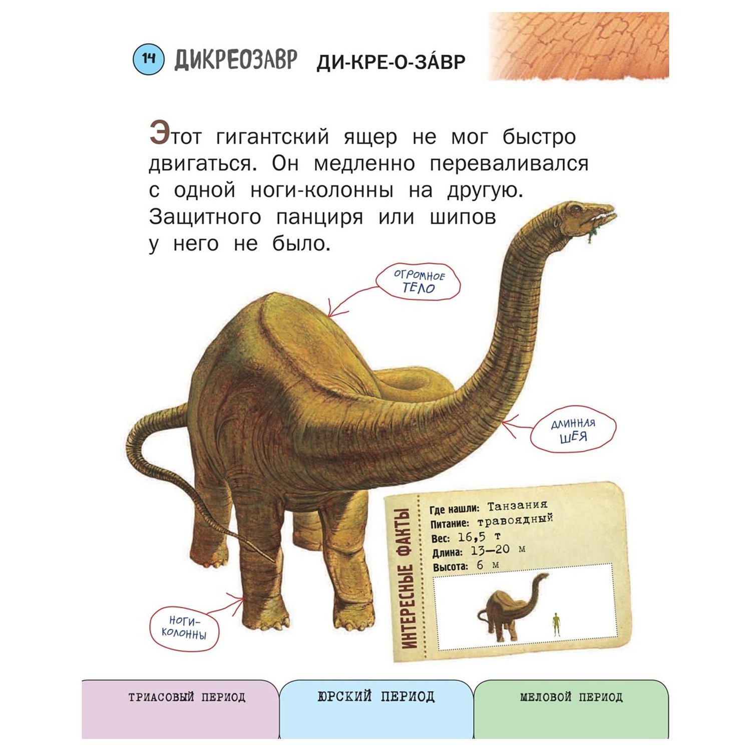 Книга Эксмо Все динозавры с крупными буквами - фото 13