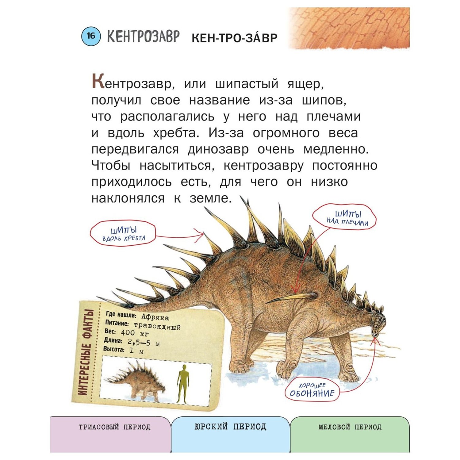 Книга Эксмо Все динозавры с крупными буквами - фото 15