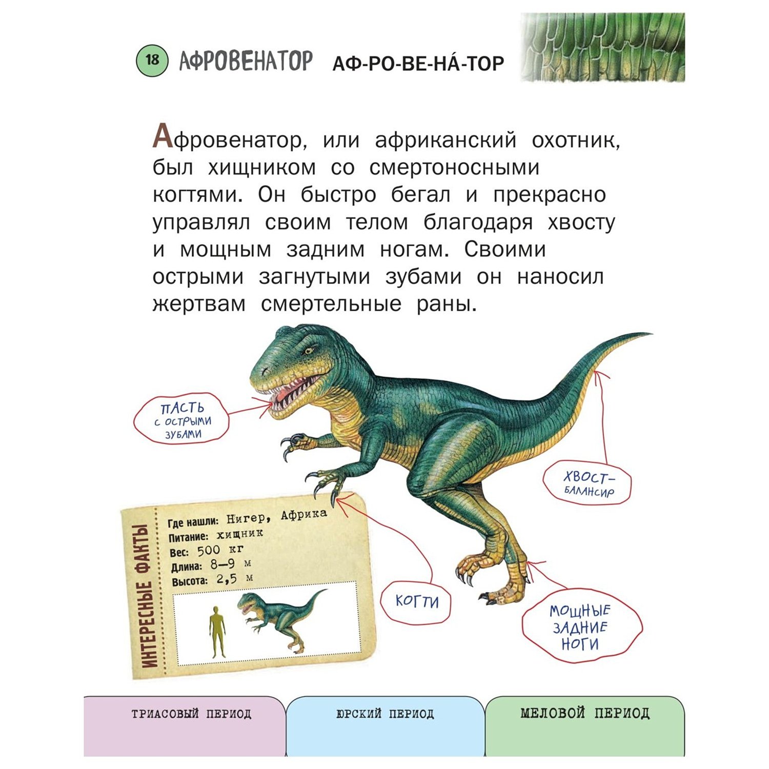 Книга Эксмо Все динозавры с крупными буквами - фото 17