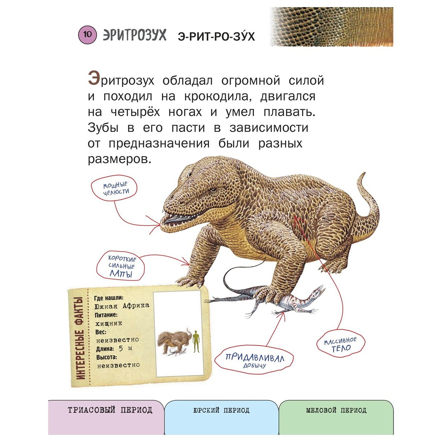 Книга Эксмо Все динозавры с крупными буквами - фото 9