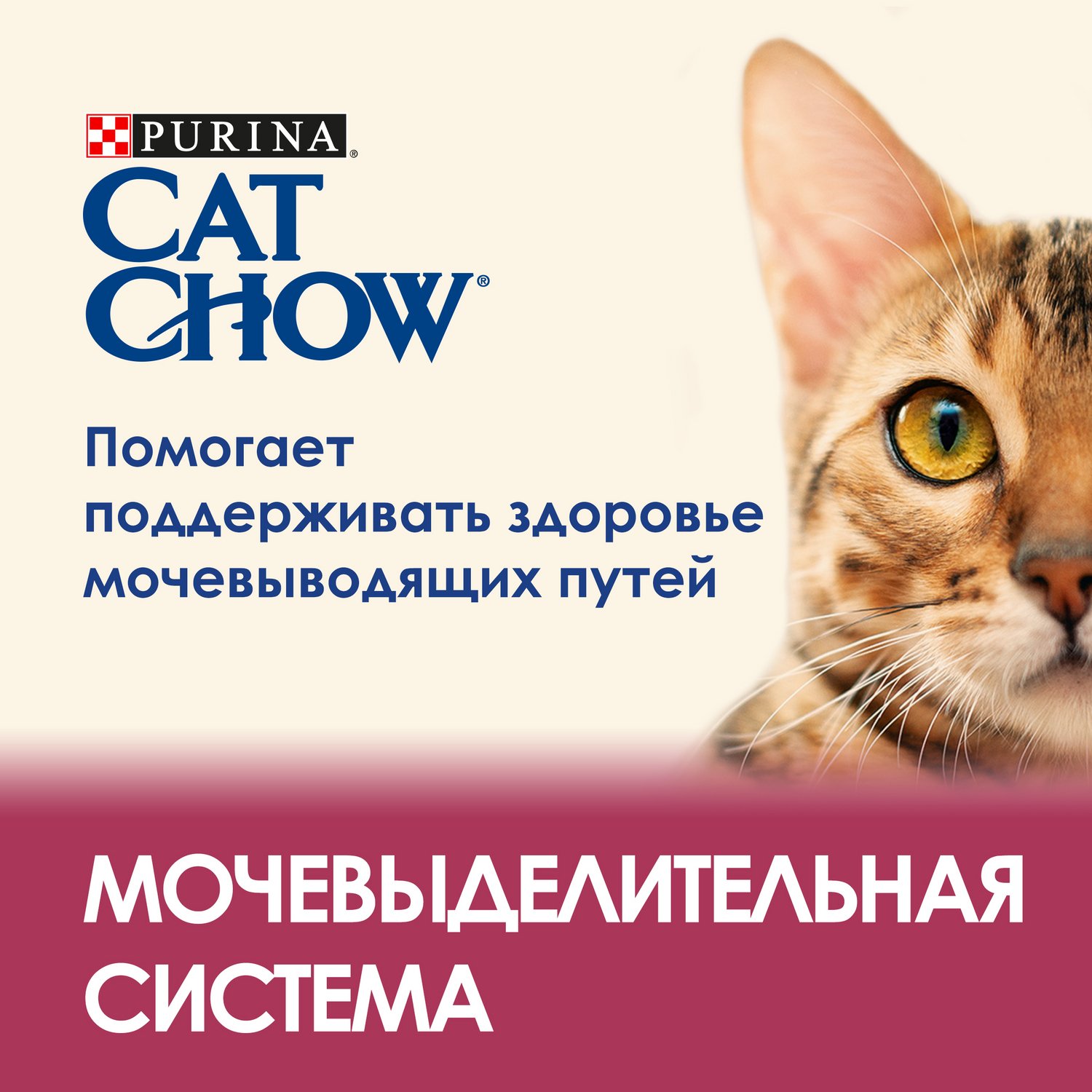 Корм сухой для кошек Cat Chow 400г с высоким содержанием домашней птицы обеспечивающий здоровье мочевыводящих путей - фото 6