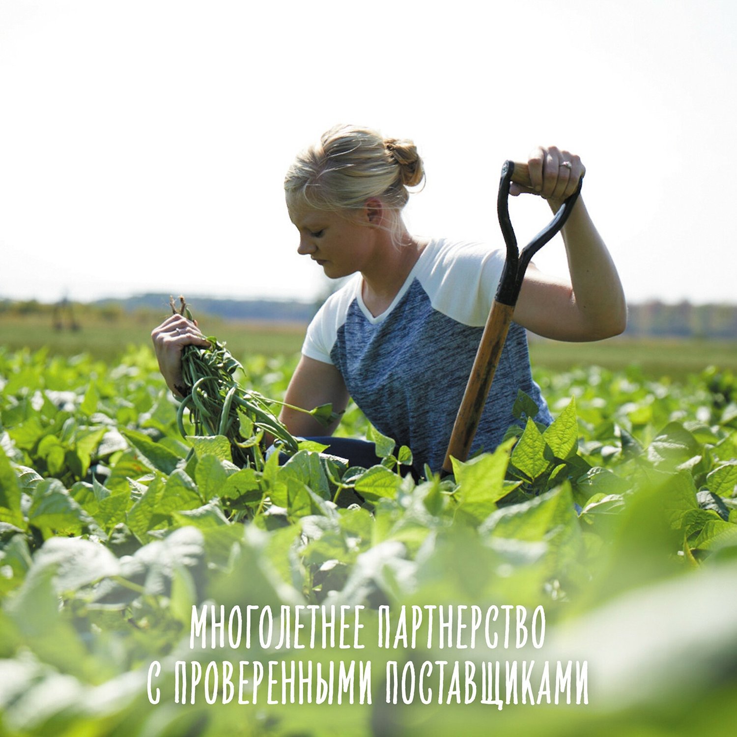 Пюре с 3 месяцев фото