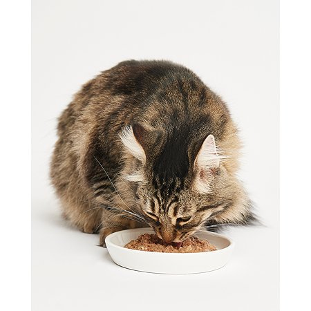 Корм для кошек Harty 100г паштет с лососем и форелью для взрослых консервированный - фото 3