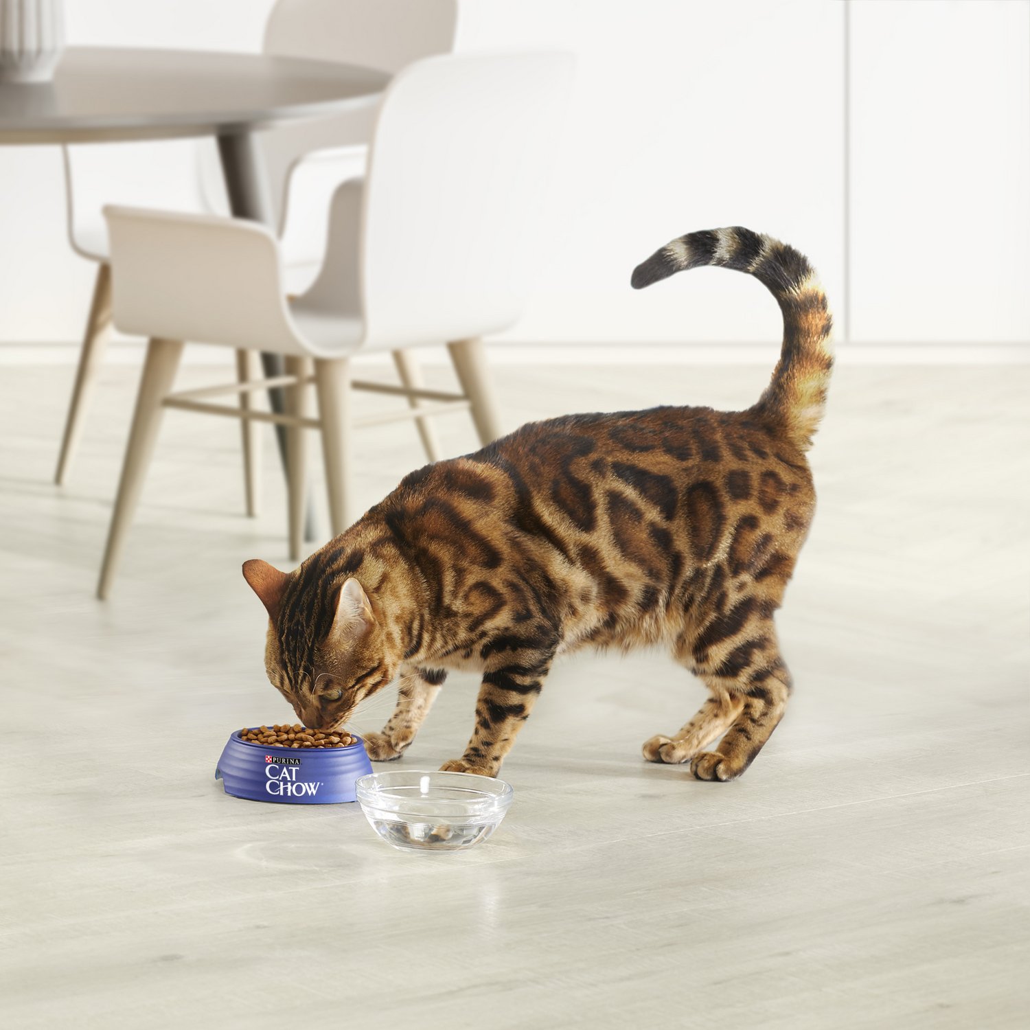 Корм сухой для кошек Cat Chow 1.5кг с лососем при чувствительной пищеварительной системе - фото 11