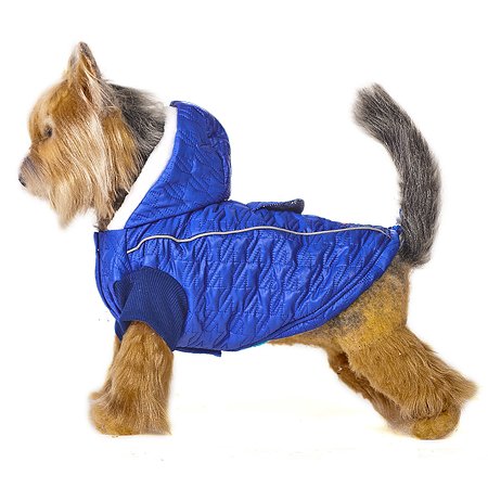 Куртка для собак Happy Puppy Синий иней 3 Синий