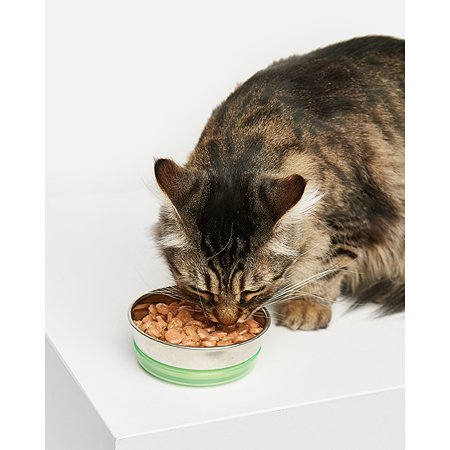 Корм для кошек Carnica 85г с лососем кусочки в соусе консервированный - фото 5