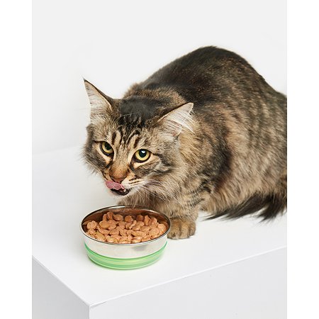 Корм для кошек Carnica 85г с индейкой для поддержания веса кусочки в соусе консервированный - фото 4