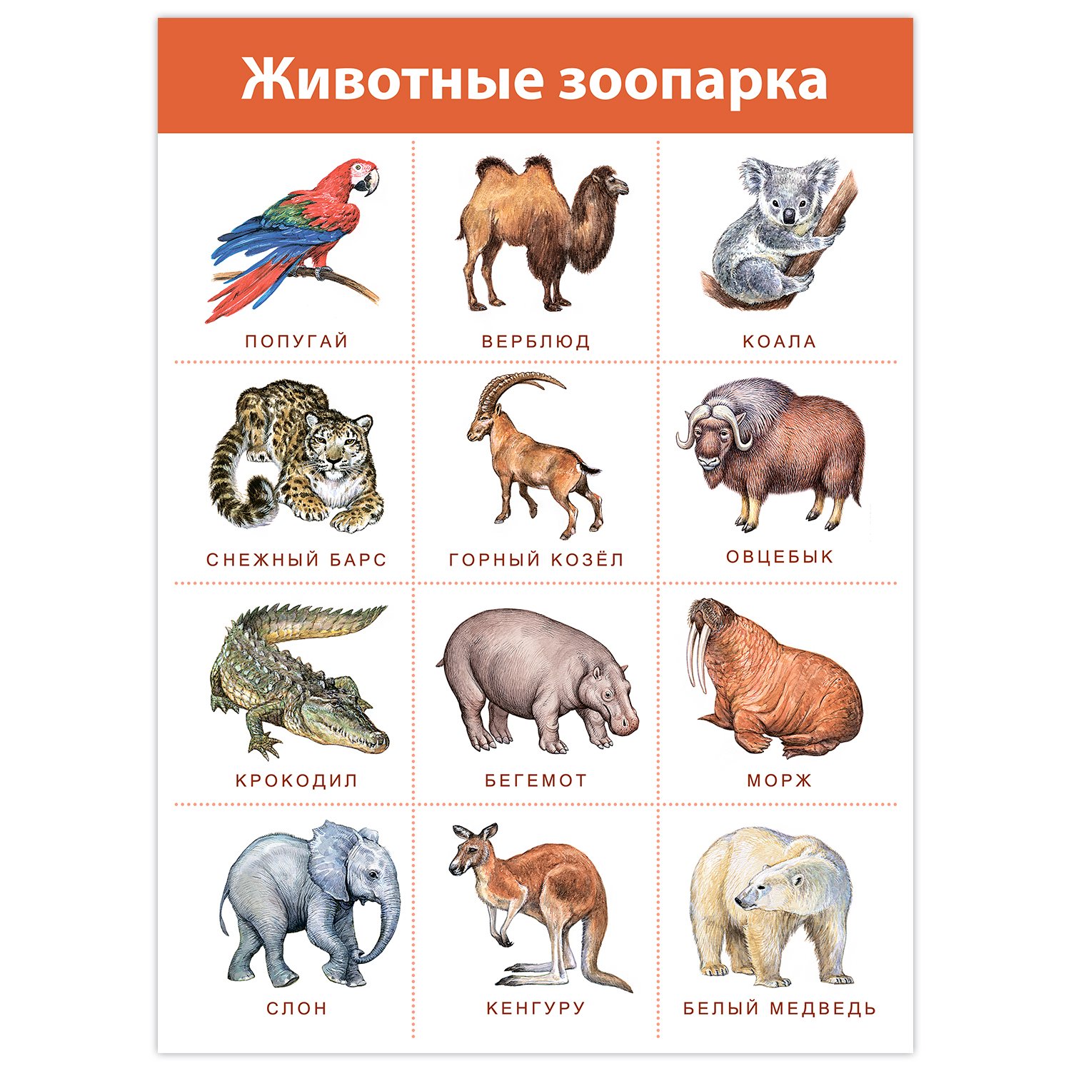 Плакат с дикими животными
