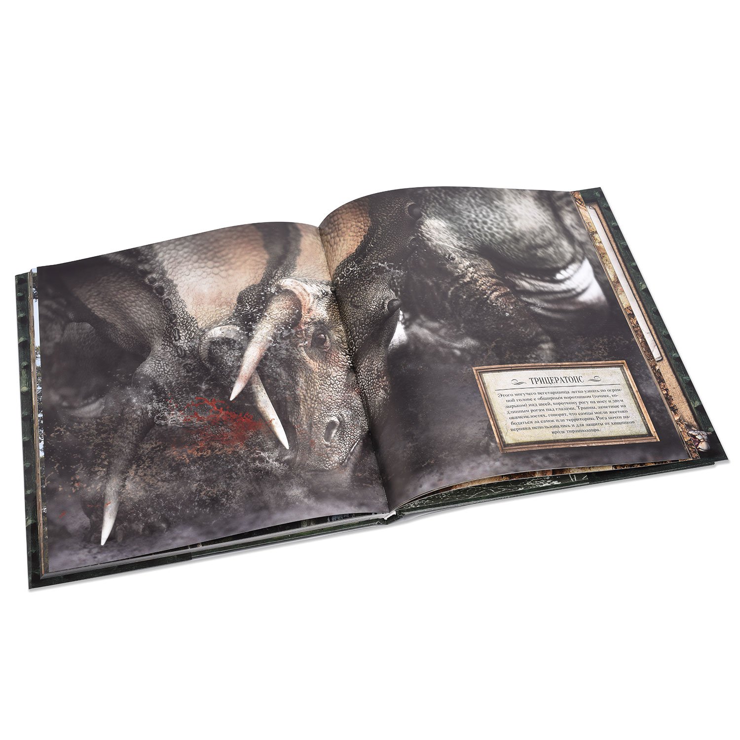 Книга Махаон Блэкуэлл А. Мир динозавров - фото 4