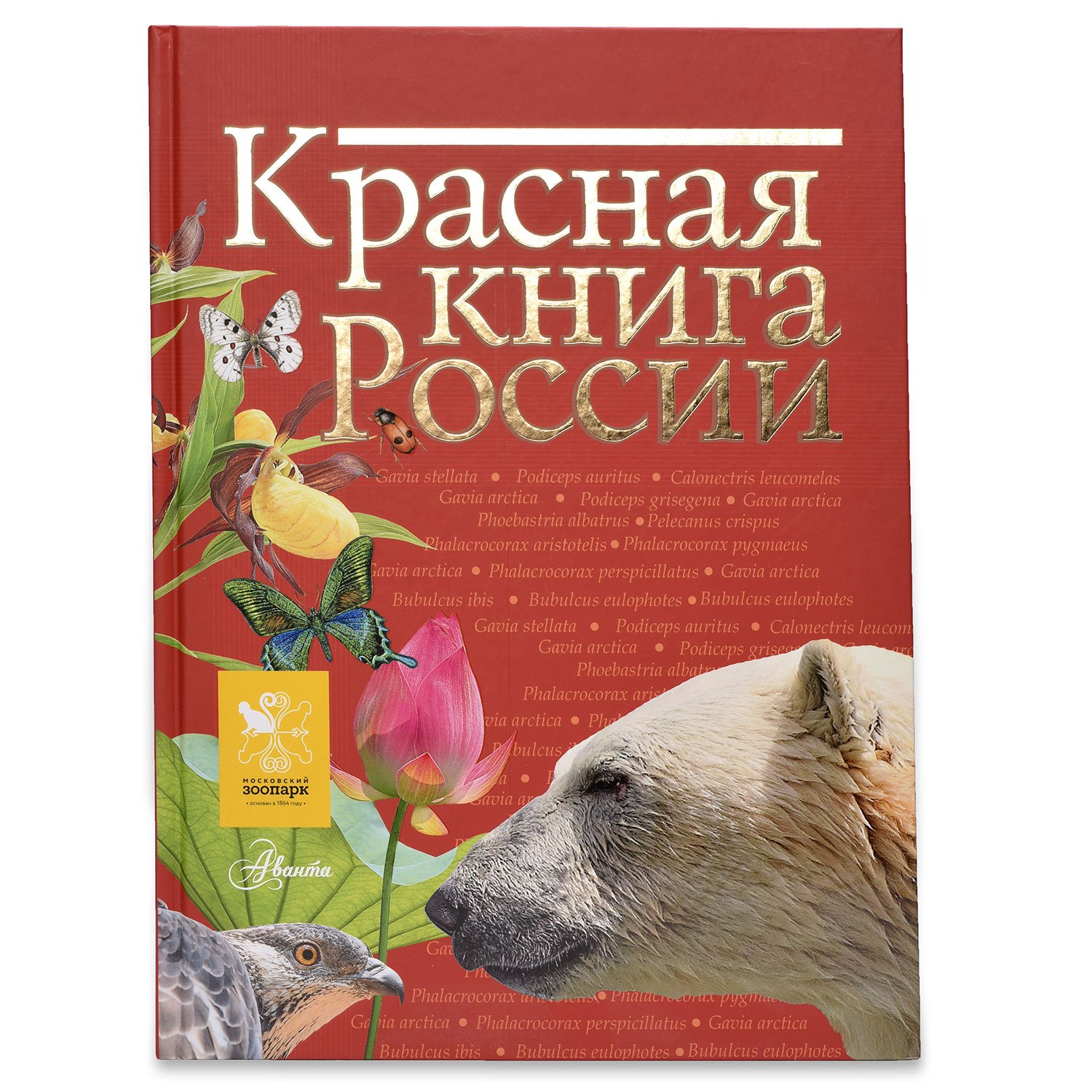 Проект красная книга россии 7 класс