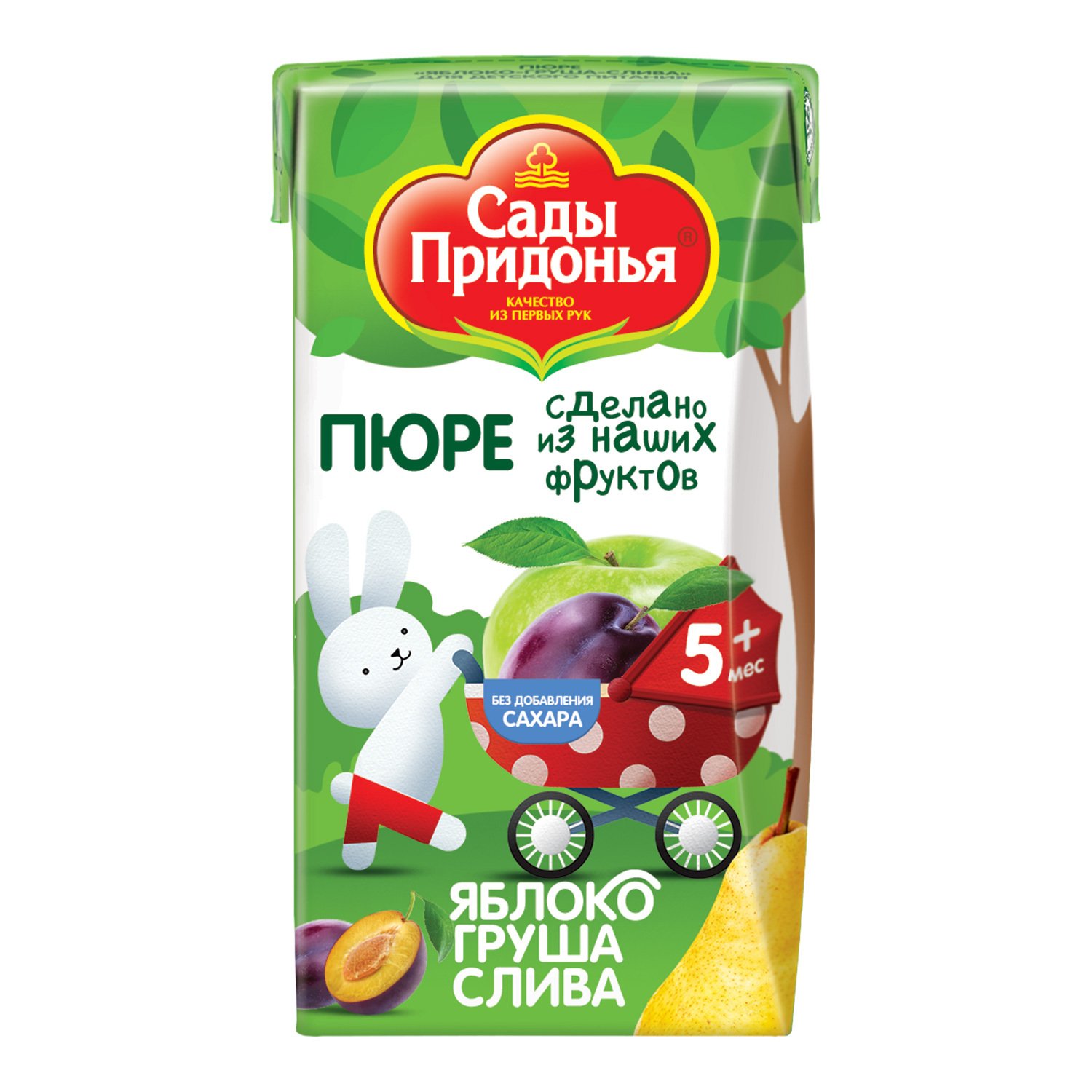 Сад Слива Фото