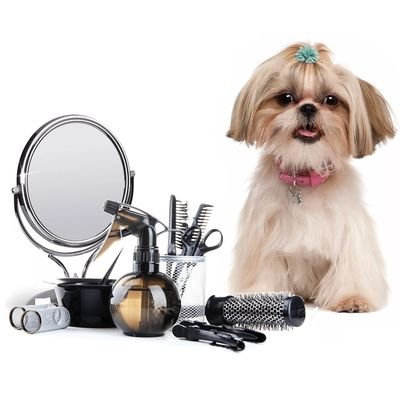 Инструменты для груминга и косметика для собак