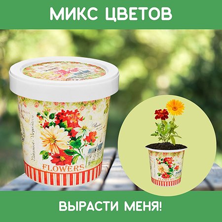 Набор для выращивания Rostok Visa Цветочная смесь