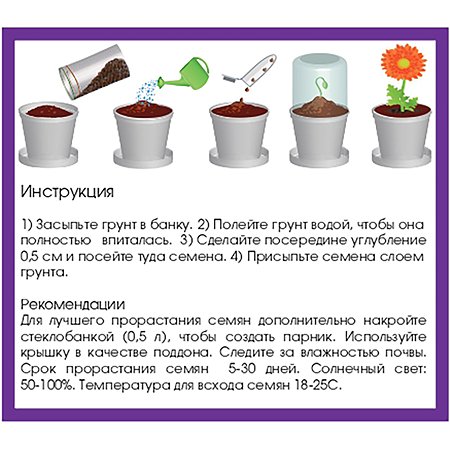 Набор для выращивания Rostok Visa Физалис - фото 6