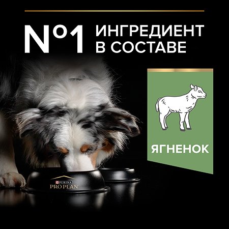 Корм для собак PRO PLAN средних пород с чувствительным пищеварением с комплексом Optidiges ягненок c рисом 14кг - фото 5