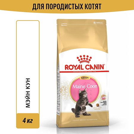 Корм сухой для котят ROYAL CANIN Maine Coon 4кг породы мейн-кун