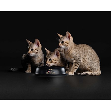 Корм сухой для котят PRO PLAN 400г с индейкой при чувствительном пищеварении - фото 9