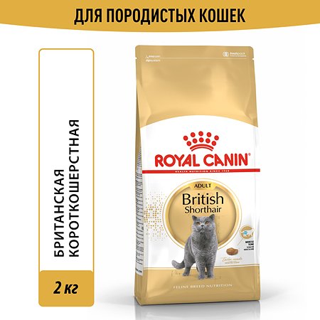 Корм ROYAL CANIN British Shorthair 2 кг для кошек британской короткошерстной породы - фото 1