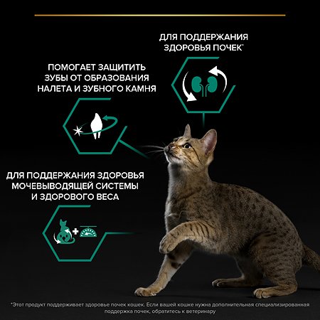 Корм сухой для кошек PRO PLAN 10 кг с индейкой пакет при стерилизации и кастрации - фото 5