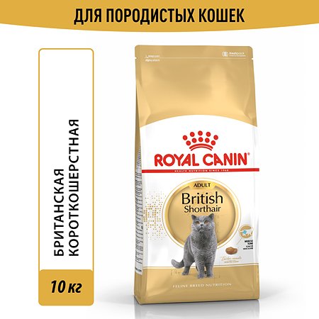 Корм сухой для кошек ROYAL CANIN British Shorthair 10кг британской короткошерстной породы