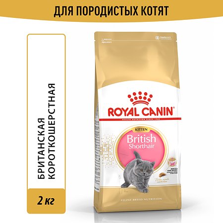 Корм сухой для котят ROYAL CANIN British Shorthair 2к г породы британской короткошерстной