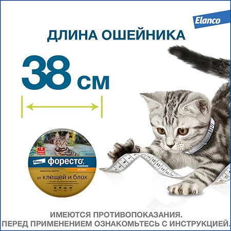 Ошейник для кошек Elanco Foresto от блох и клещей защита 8месяцев 38см 65232 - фото 11