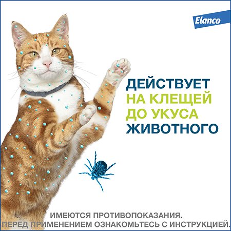 Ошейник для кошек Elanco Foresto от блох и клещей защита 8месяцев 38см 65232 - фото 4