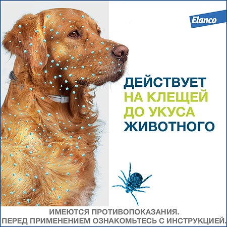 Ошейник для собак Elanco Foresto более 8кг от блох и клещей защита 8месяцев 70см 65494 - фото 4