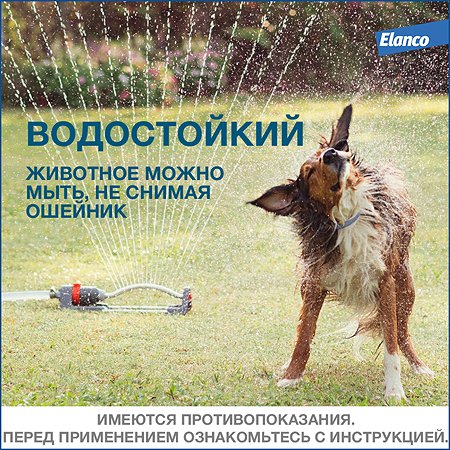Ошейник для собак Elanco Foresto более 8кг от блох и клещей защита 8месяцев 70см 65494 - фото 7