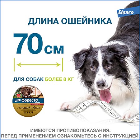 Ошейник для собак Elanco Foresto более 8кг от блох и клещей защита 8месяцев 70см 65494 - фото 10