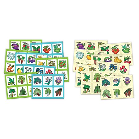 Игра развивающая Hatber Лото-Растения овощи и фрукты 8 полей 48 карточек - фото 2