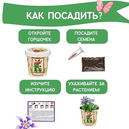 На бор для выращивания Rostok Visa Аквилегия - фото 4