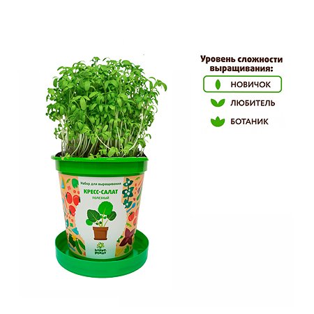 Набор для выращивания Happy Plant Вырасти сам растение в горшочке Кресс-салат полезный - фото 4