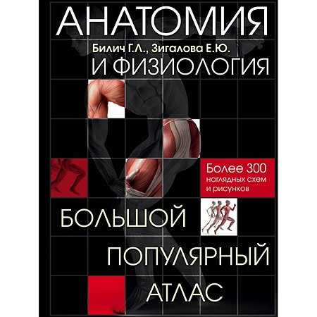 Книга Эксмо Анатомия и физиология Большой популярный атлас