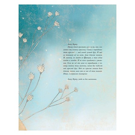 Книга Эксмо Маленький принц иллюстрации Адреани перевод Норы Галь - фото 4