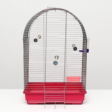 Клетка для птиц Пижон хром укомплектованная 41х30х65 см рубиновая - фото 15