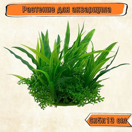 Аквариумное растение Rabizy Островок 6х5х13 см