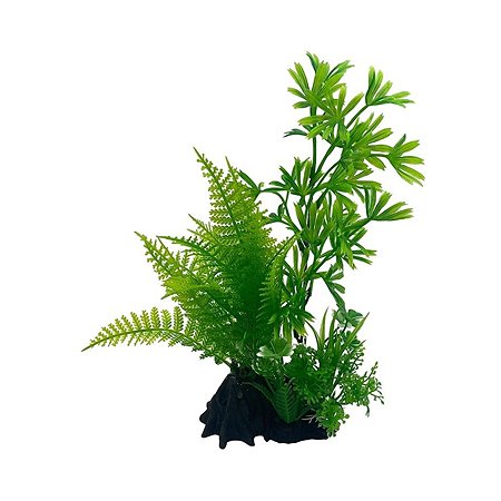 Аквариумное растение Rabizy 9х8х25 см