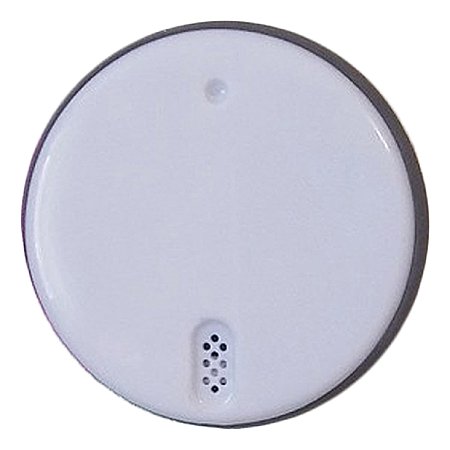 Термогигрометр Рэлсиб WH52 с Bluetooth - фото 1