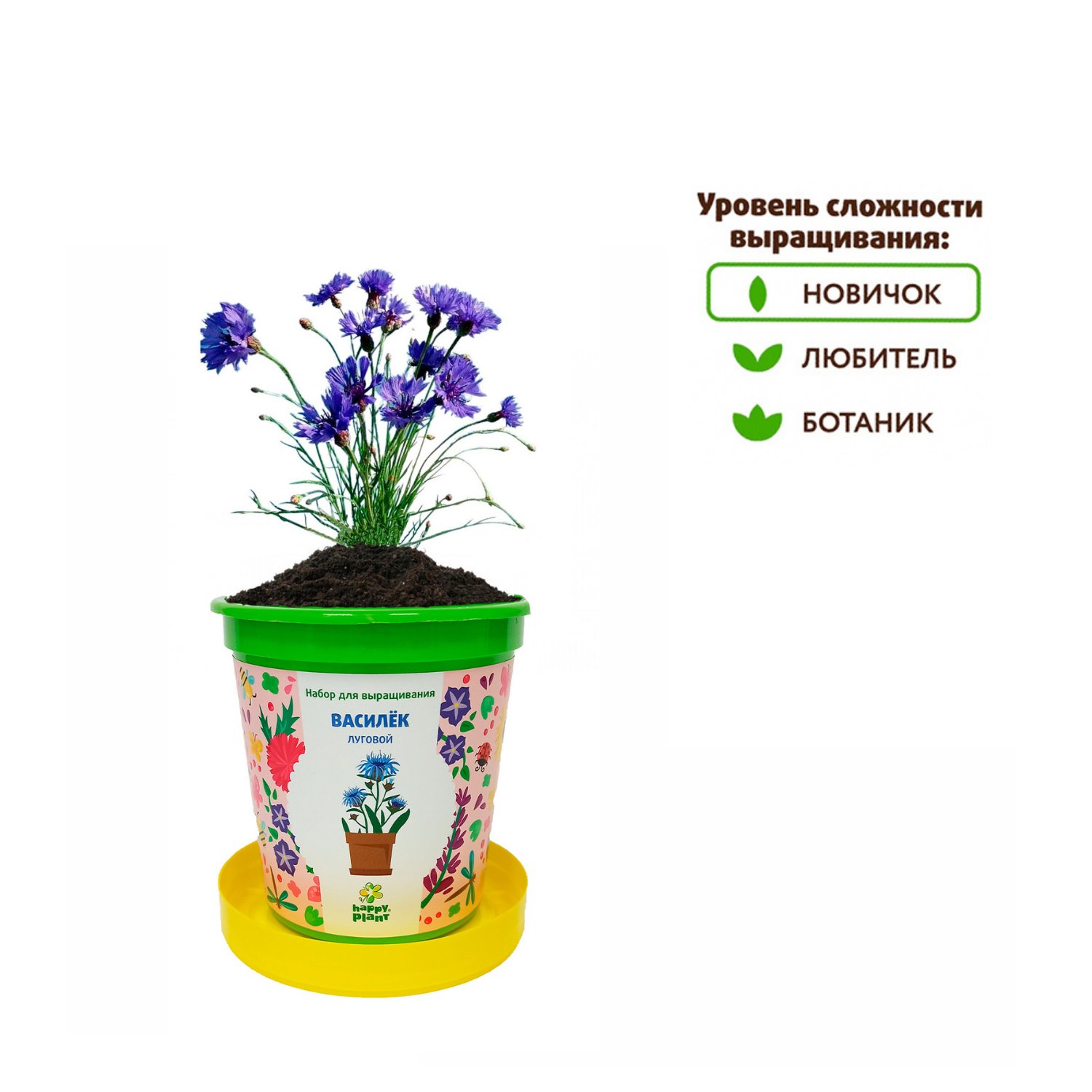 Набор для выращивания Happy Plant Вырасти сам растение в горшочке Василек луговой - фото 4