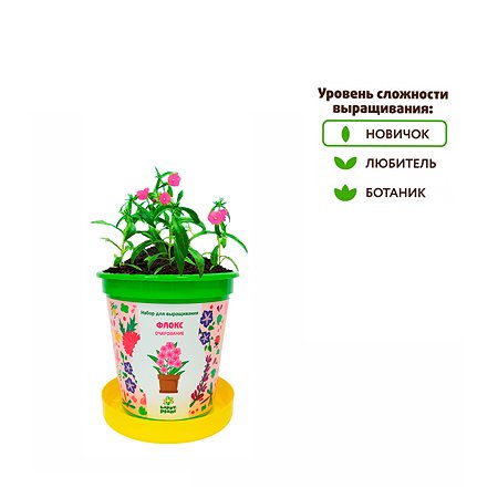 Набор для выращивания Happy Plant Вырасти сам растение в горшочке Флокс очарование - фото 4