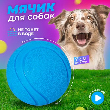 Игрушка для собак Woof мяч резиновый синий