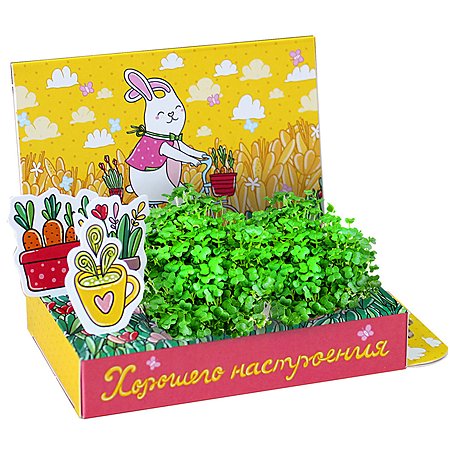 Набор для выращивания Happy Plant Вырасти сам микрозелень Живая открытка Кролик - фото 5
