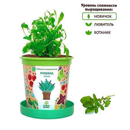 Набор для выращивания Happy Plant Вырасти сам растение в горшочке Руккола пряная - фото 5