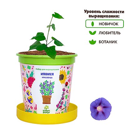 Набор для выращивания Happy Plant Вырасти сам растение в горшочке Ипомея красавица - фото 5