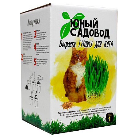 Набор ВИСМА Для выращивания Юный садовод травка для кота - фото 1