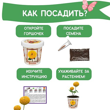 Набор для выращивания Rostok Visa Цинния - фото 4